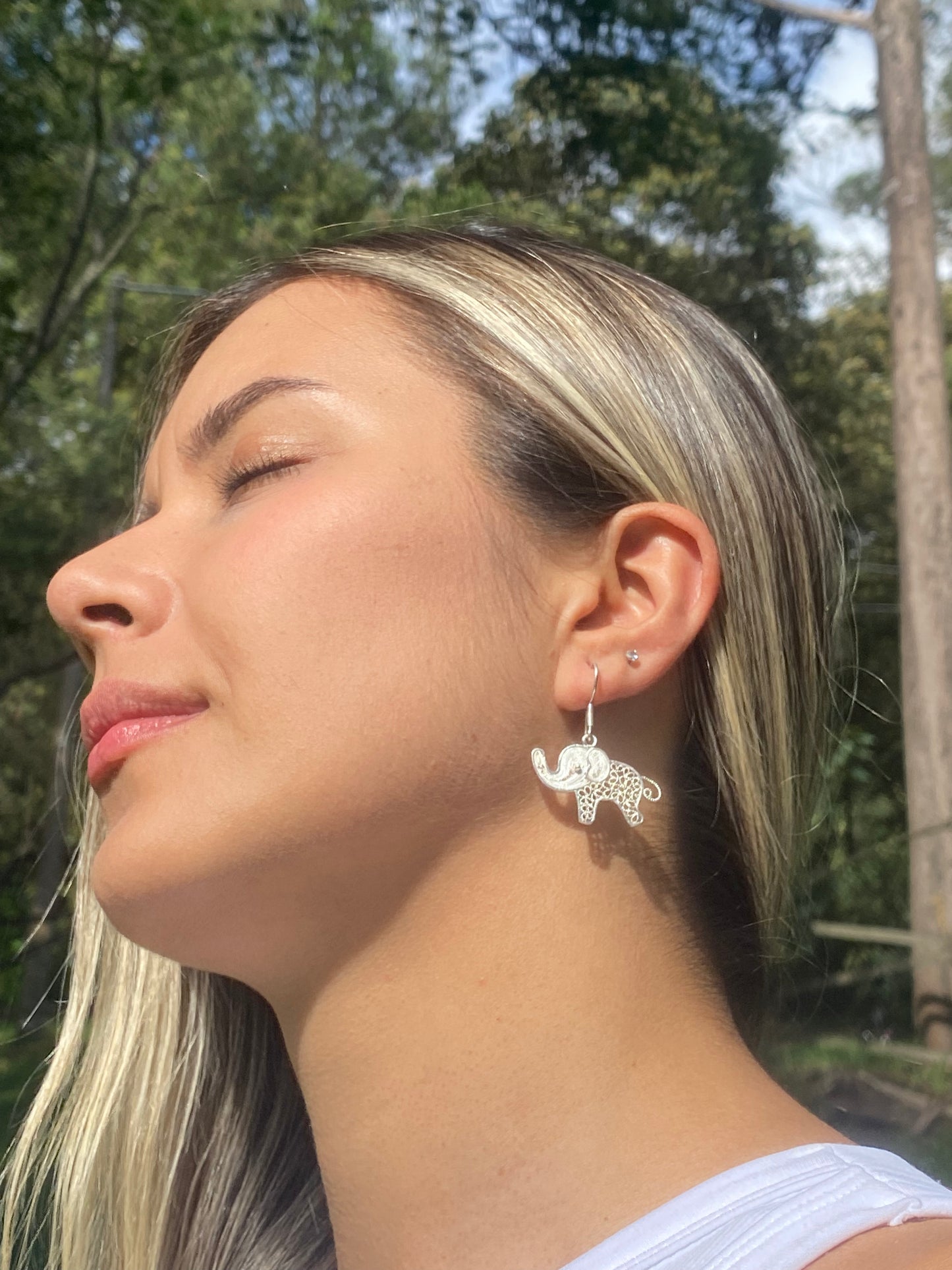 Aretes de Elefantes