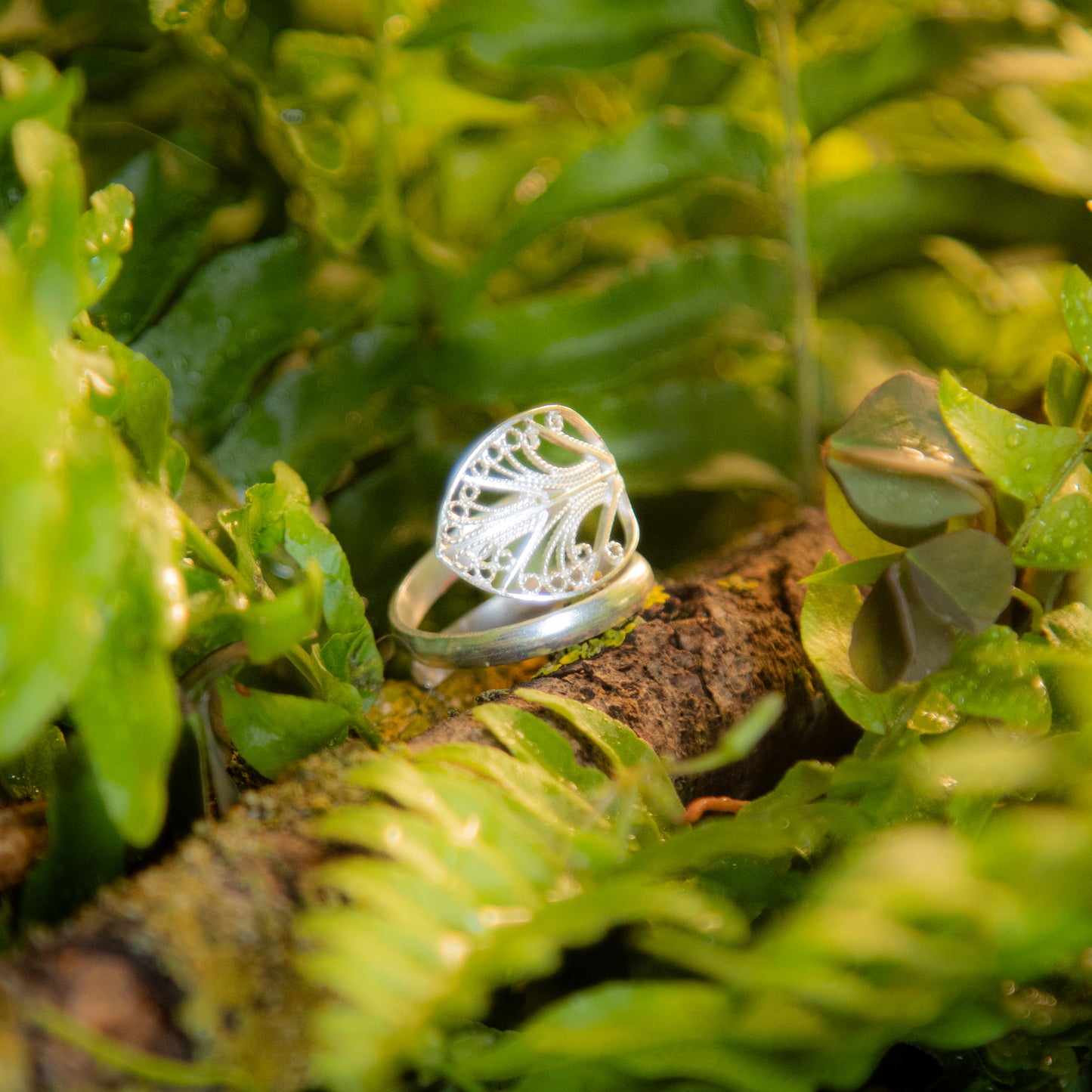 Anillo Diantus