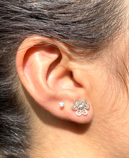 Aretes Rosa de Caracoles