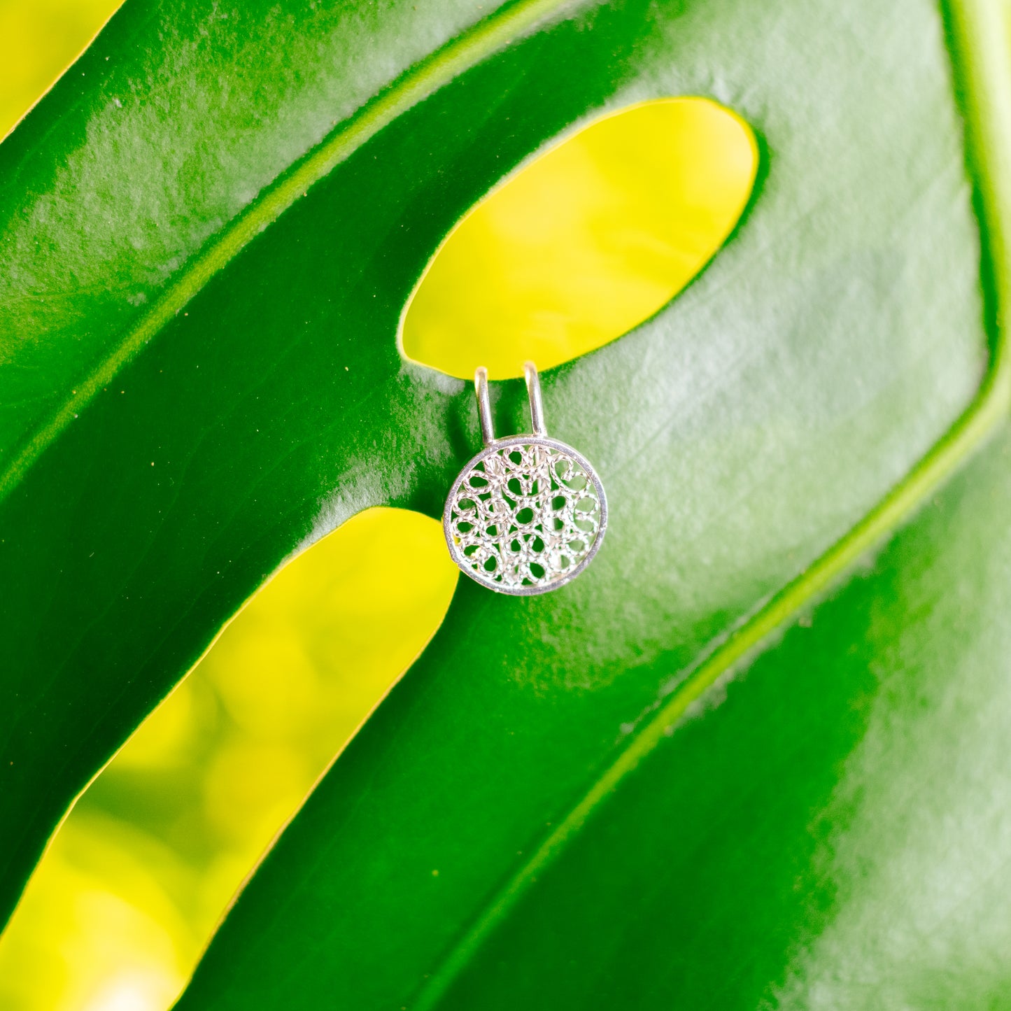 Juego Luna Llena con Descuento